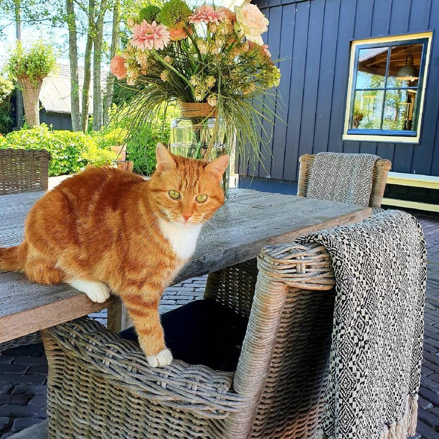 Op Stolk Bed & Breakfast Stolwijk Esterno foto